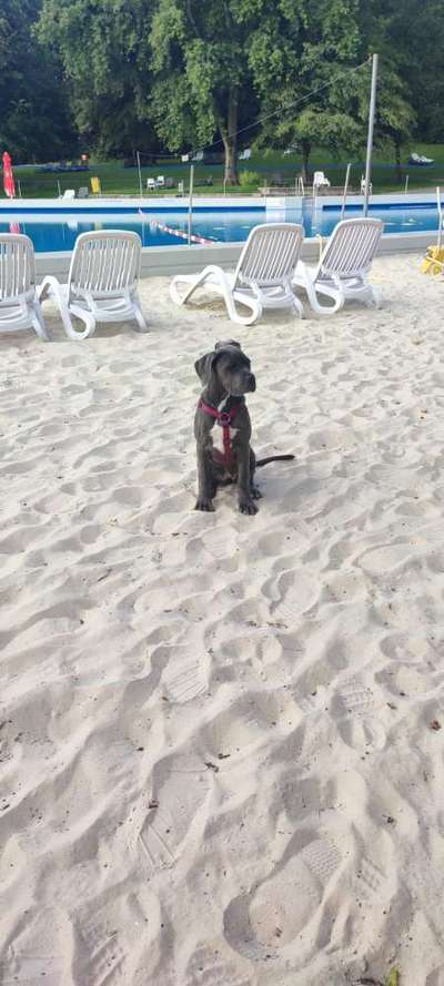 Zeigt eure schönsten Sommerbilder-Beitrag-Bild