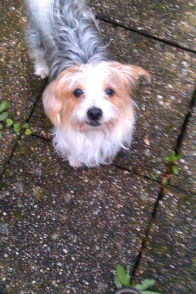 Vorher.... Nachher-Beitrag-Bild