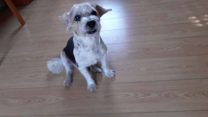 Vorher.... Nachher-Beitrag-Bild