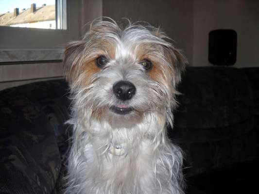 Immer lächeln !-Beitrag-Bild