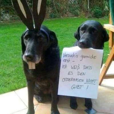 Freundschaftsanfragen-Beitrag-Bild