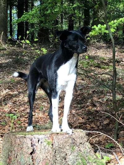 Foto Challenge Nr. 79-Beitrag-Bild