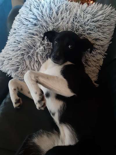 Lieblingsbild :D-Beitrag-Bild