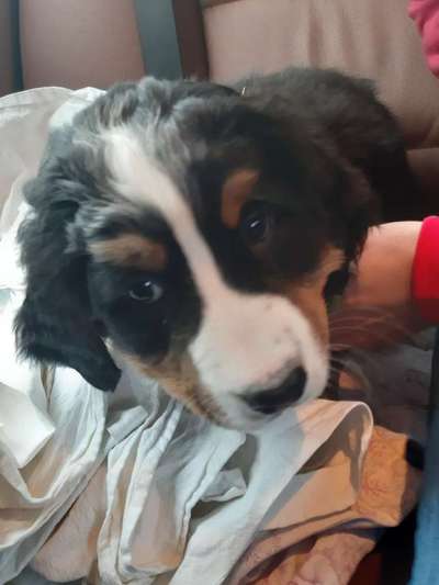 Foto Challenge 82-Beitrag-Bild