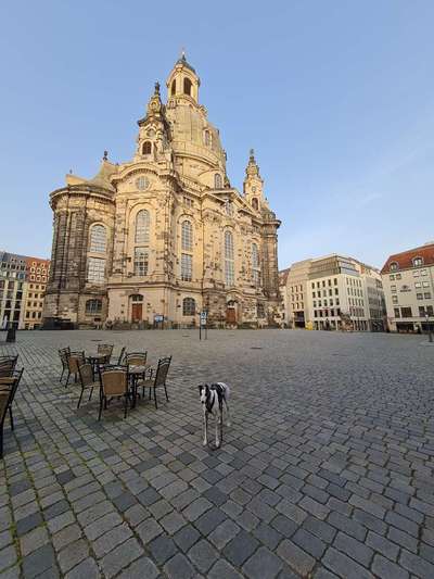 Windhunde - Treffen der besonderen Schönheiten
HERZLICH WILLKOMMEN-Beitrag-Bild