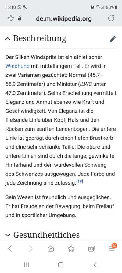 Windhunde - Treffen der besonderen Schönheiten
HERZLICH WILLKOMMEN-Beitrag-Bild