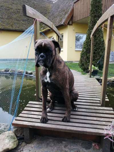 Lieblingsbild-Beitrag-Bild