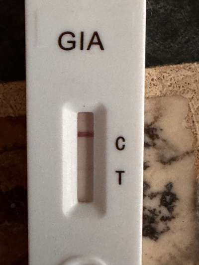 GIARDIEN schnelltest-Beitrag-Bild