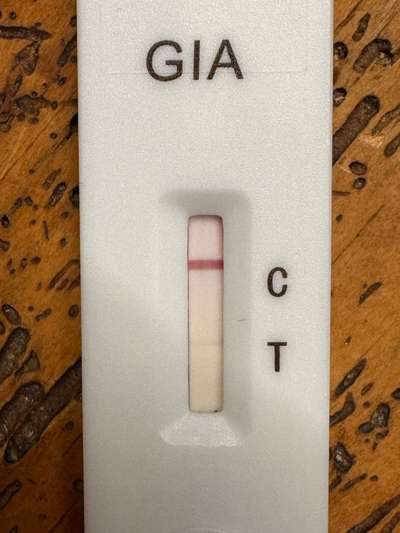 GIARDIEN schnelltest-Beitrag-Bild