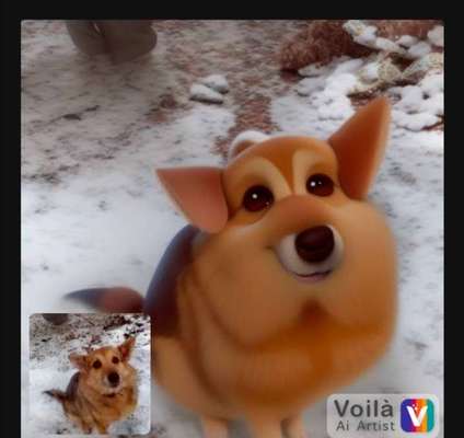 Voila app Bilder-Beitrag-Bild