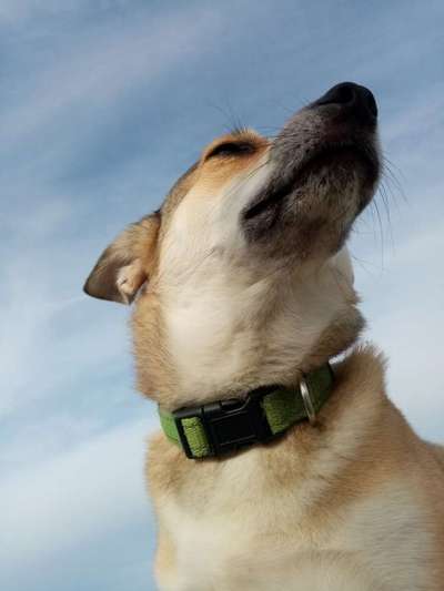 118. Fotochallange-Beitrag-Bild