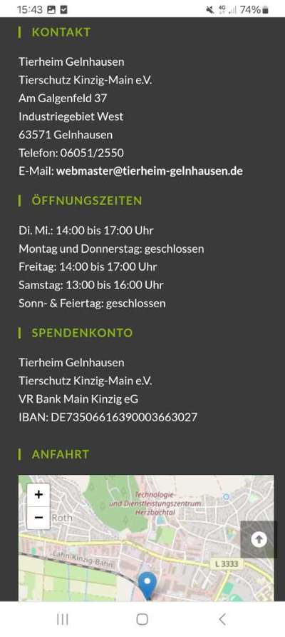 Tierschutzhunde suchen ein Zuhause-Beitrag-Bild