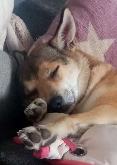 FOTO-Challenge  NR. 91: Die pure Entspannung-Beitrag-Bild