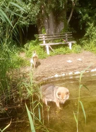 Pause an der Bank-Beitrag-Bild