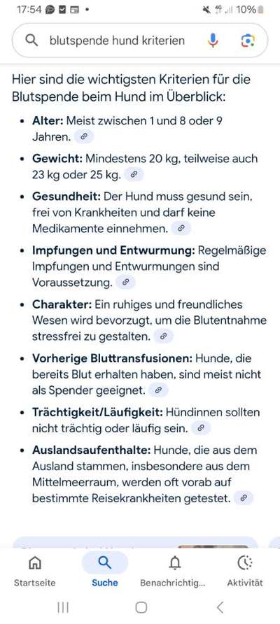 🩸🐾 Blut spenden? Ja. Aber bitte nicht mein Hund.-Beitrag-Bild
