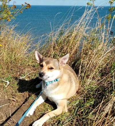 Theos  Fotochallenge Nummer 2-Beitrag-Bild