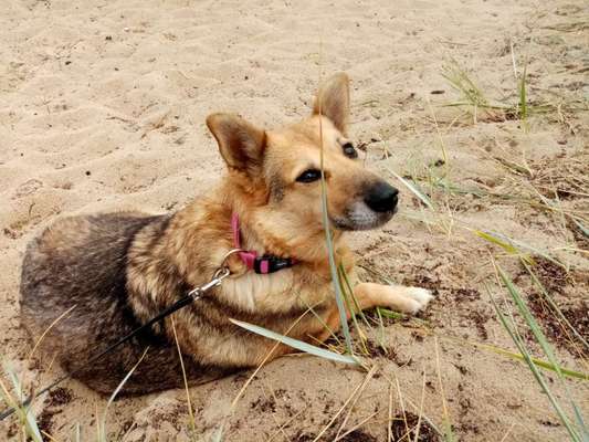 Doppelgänger gesucht !-Beitrag-Bild