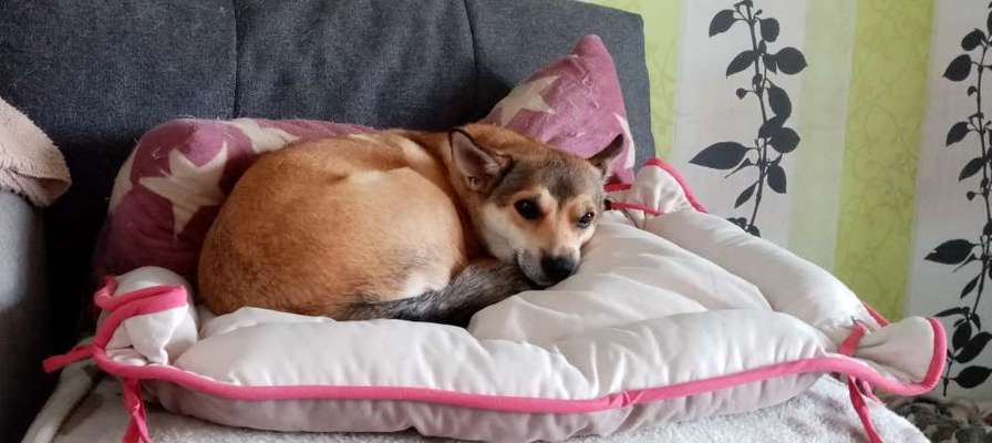 Doppelgänger gesucht !-Beitrag-Bild