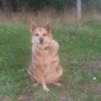 Adelheid's Profilbild