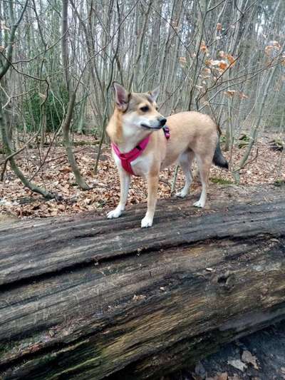 27. Handy Fotochallenge-Beitrag-Bild