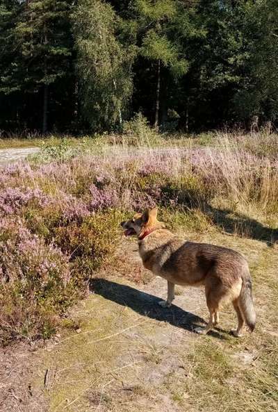 Theos  Fotochallenge Nummer 2-Beitrag-Bild