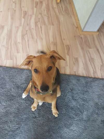 Handy-Foto Challange Nr. 10-Beitrag-Bild