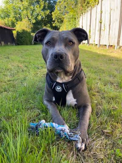 Zeigt eure Portraits-Beitrag-Bild