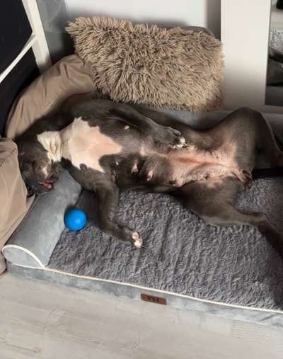 Foto Challenge Nr. 134-Beitrag-Bild