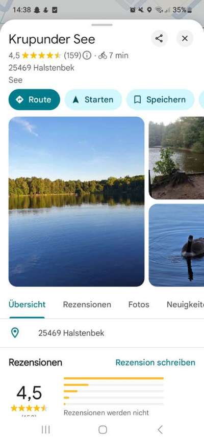 aktuelles Foto Gruppe Chihuahua Treffen Hamburg