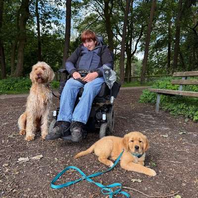 Hundetreffen-Erfahrene Hunde oder Junghunde für Welpenerziehung gesucht-Bild