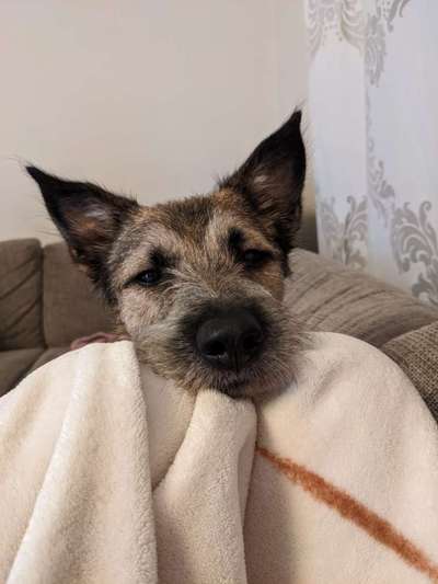 Bettel Blicke-Beitrag-Bild