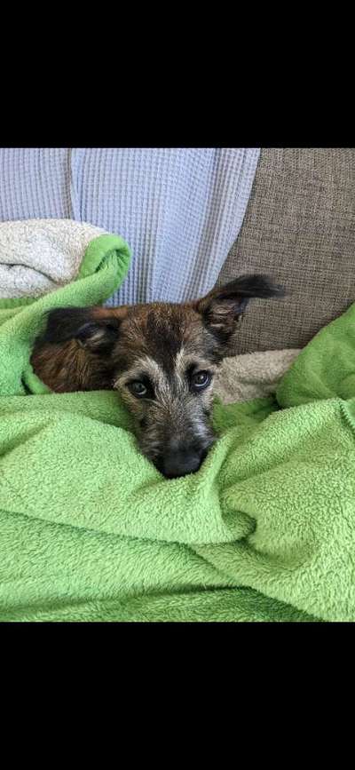 Fotochallange Nummer 5-Beitrag-Bild