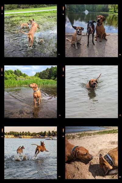 Eure schönsten Fotos mit Wasser-Beitrag-Bild