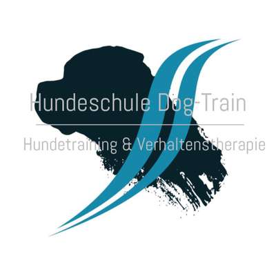 Hundeschulen-hundeschule-dog-train-Bild