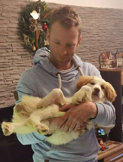 Vom Welpen zum Hund-Beitrag-Bild