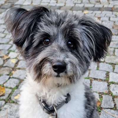 Fotochallange Nr. 57     PORTRÄT.   Beendet!!!!!!!!-Beitrag-Bild