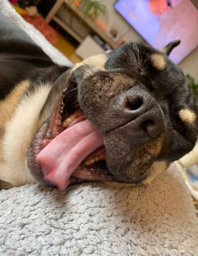 Fotochallange Nr. 6 Die irrsten Blicke-Beitrag-Bild