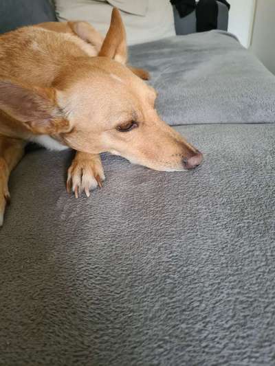 150. Foto Challaenge:  Die Augen, der Spiegel der Seele-Beitrag-Bild