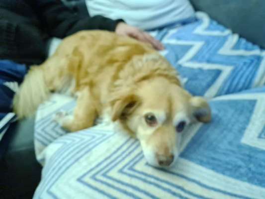 Fotochallenge Nr. 67: Euer Lieblingsbild-Beitrag-Bild