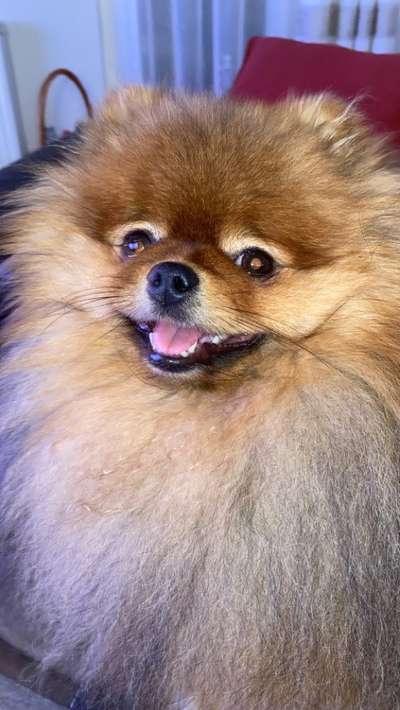 Fotochallange Nr. 57     PORTRÄT.   Beendet!!!!!!!!-Beitrag-Bild