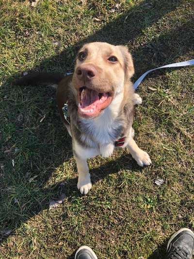 "Die eingefangene Magie des Augenblicks"-Beitrag-Bild