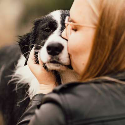 Hundetreffen-Gemeinsame Spaziergänge mit Spielen-Profilbild