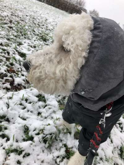 Süße Winteroutfits 😍-Beitrag-Bild
