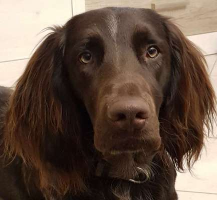 Fotochallange Nr. 57     PORTRÄT.   Beendet!!!!!!!!-Beitrag-Bild