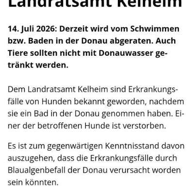 Giftköder-Blaualgenverdacht-Bild