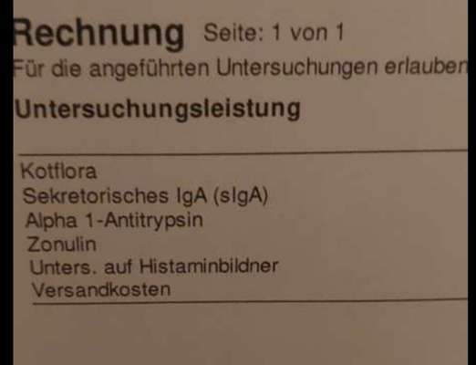 Darmprobleme-Beitrag-Bild