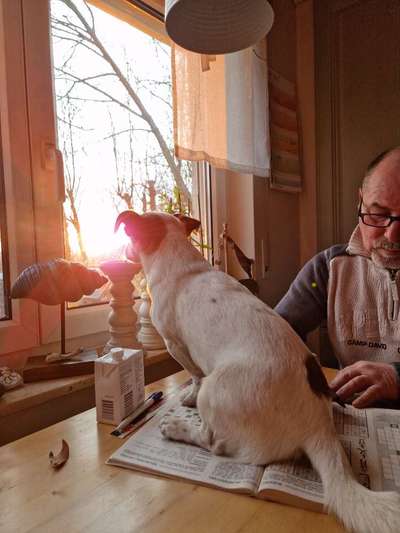 120. Fotochallenge-Beitrag-Bild