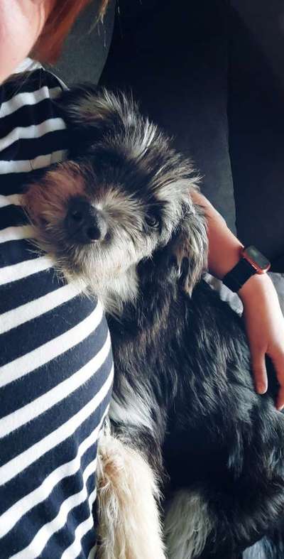 FOTO-Challenge  NR. 91: Die pure Entspannung-Beitrag-Bild