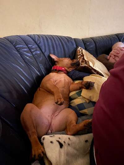 Fotochallenge Nr.65-Beitrag-Bild