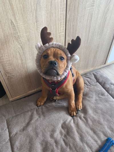 Hier ist der Spaßthread. Zum Schmunzeln und Kaputtlachen-Beitrag-Bild